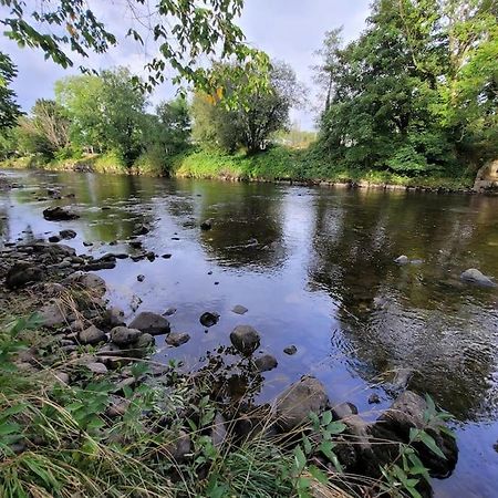 Riverside Bungalow - Direct River Access! Ystradgynlais 외부 사진